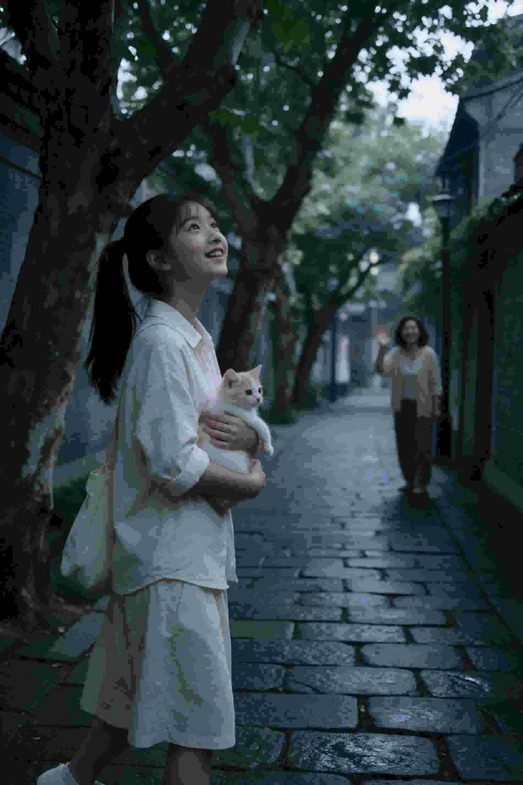 叛逆的鲁路修